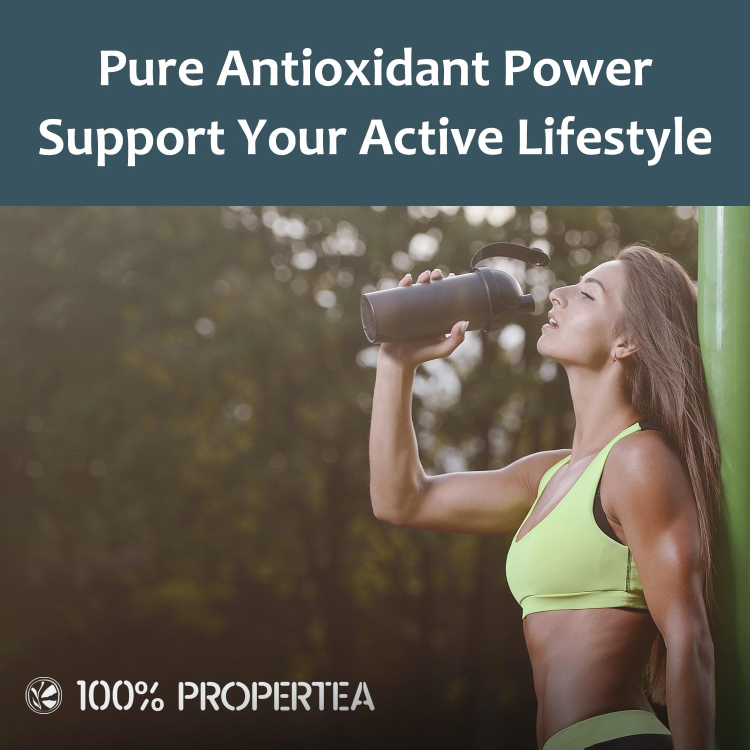 100% Propertea Organic Green Tea Bags Eco-Friendly 100 Tea Bags