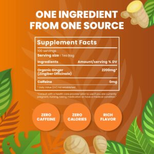 Organic Ginger Tea 100 Tea Bags Organic Herbal Tea From Single Origin Caffeine Free Cederberg Tea Company
