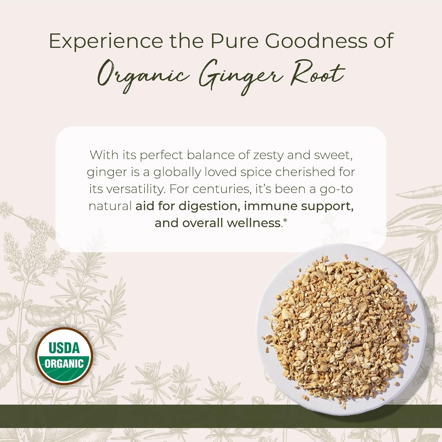 Starwest Botanicals Organic Ginger Root Dried Ginger Herb for Tea Cut and Sifted Bulk 1 lb Bag