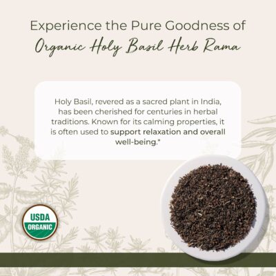 Starwest Botanicals Organic Tulsi Holy Basil Dried Loose Leaf Herb for Tea & Cooking 4 oz Pouch