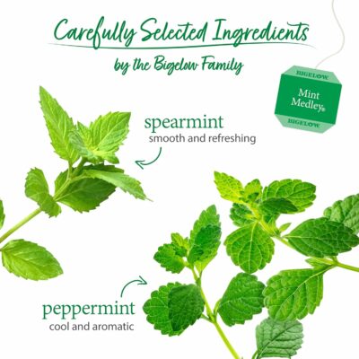 Bigelow Tea Mint Medley Herbal Tea Caffeine Free Mint Tea with Spearmint and Peppermint Pack of 6 120 Total Tea Bags