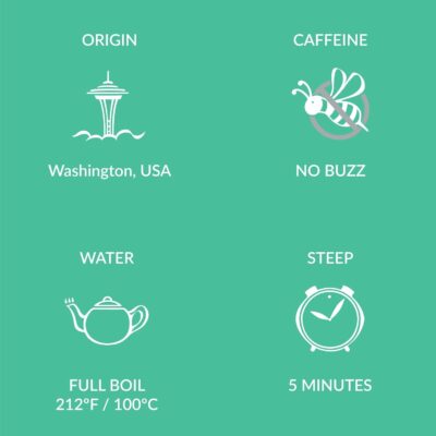 Two Leaves and a Bud Organic Peppermint 50 Naked Tea Sachets Naturally Caffeine Free 50 Count Pack of 1