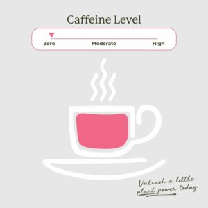 Starwest Botanicals Organic Peppermint Leaf Tea Caffeine Free Herbal Tea 20 Tea Bags