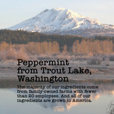 Organic Peppermint 15-20 Servings Eco Conscious Zip Pouch Caffeine Free 0.88 Ounce Small