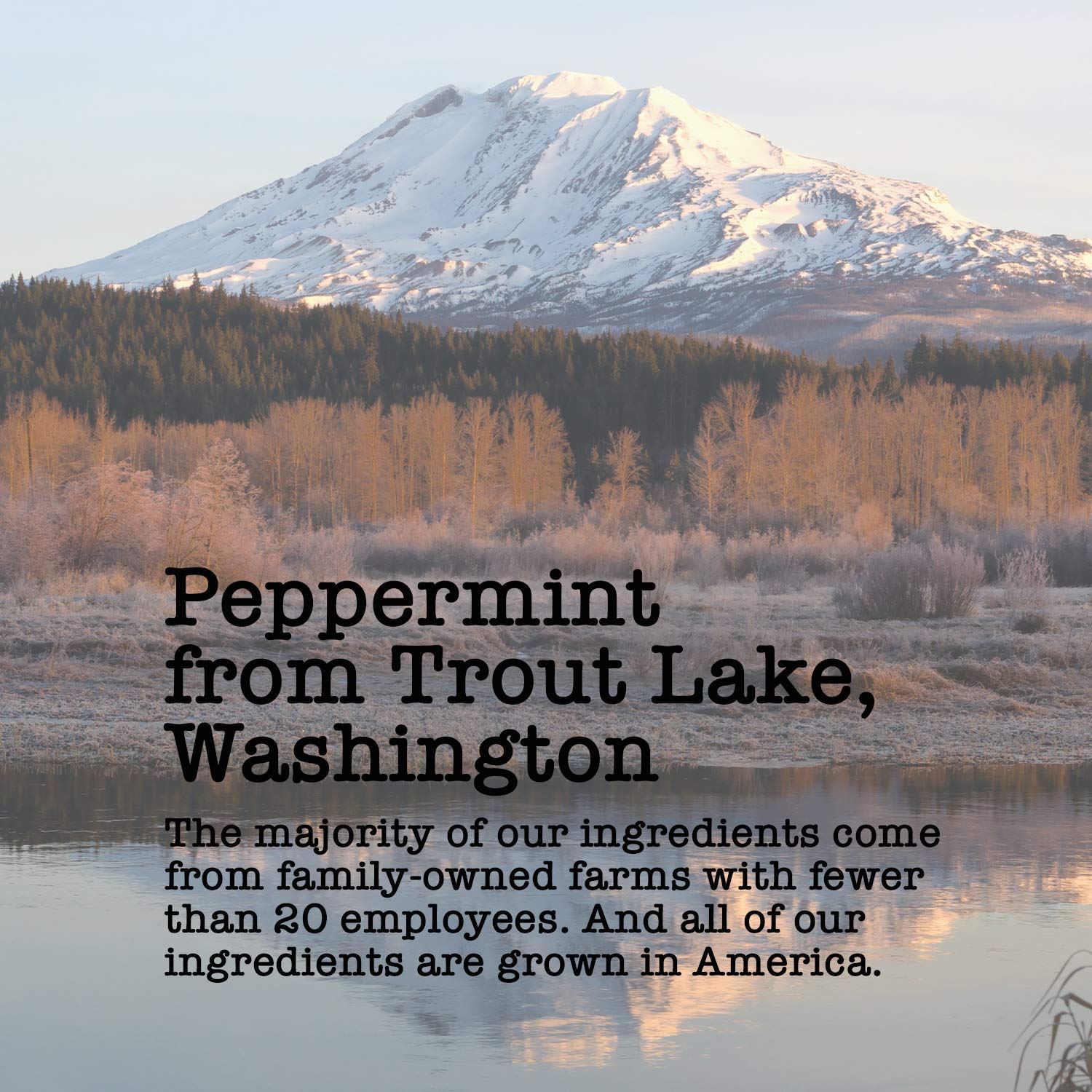 Organic Peppermint 15-20 Servings Eco Conscious Zip Pouch Caffeine Free 0.88 Ounce Small