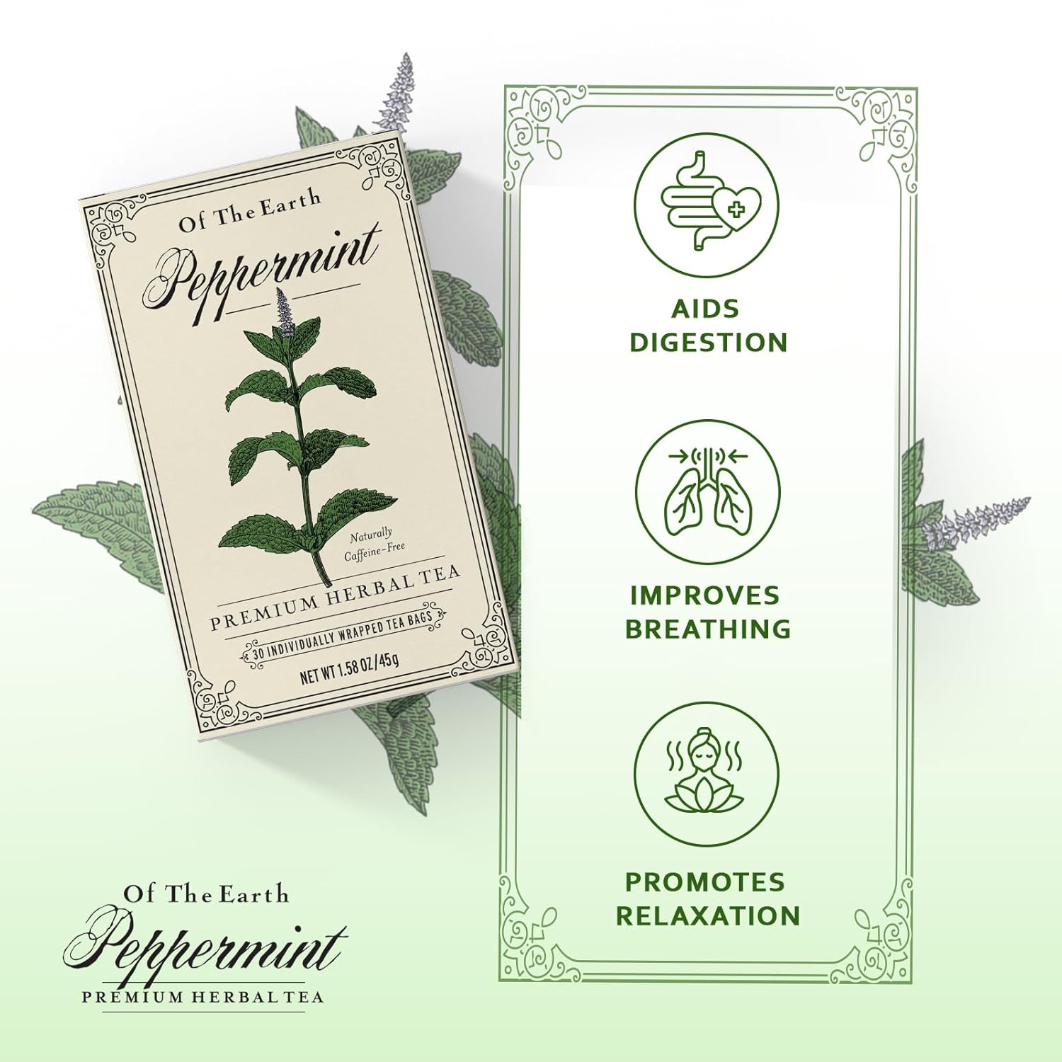 Life Plus Style Gourmet Of The Earth Organic Pure Peppermint Herbal Tea Refreshing Minty & Cool Flavor Caffeine Free 30 Tea Bags