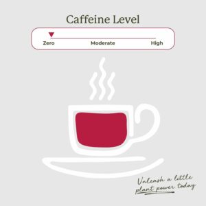 Starwest Botanicals Organic Hibiscus Tea Caffeine Free Herbal Tea String Free Sachets Bulk Pack 100 Tea Bags