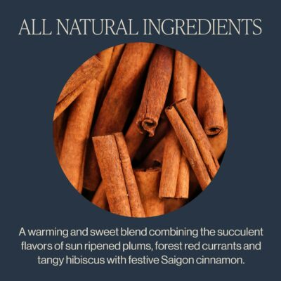 Rishi Tea Cinnamon Plum Herbal Tea Organic Caffeine Free Loose Leaf 16 Ounces 45+ Servings