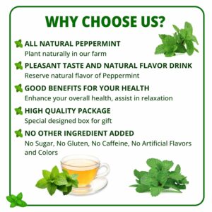 VIDA FARM 125 Peppermint Tea Bags 100% Natural Peppermint Herbal Tea Bags No Caffeine