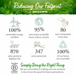 Bigelow Tea Peppermint Bark Herbal Tea Caffeine Free Tea with Peppermint and Chocolate Pack of 6 108 Total Tea Bags