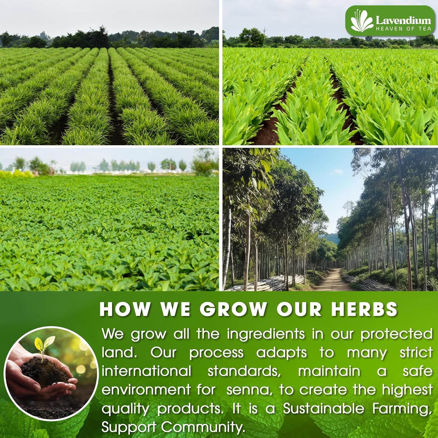 60 Bags SIimming Detox Tea Caffeine Free Herbal Tea with Chamomile