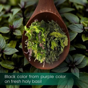 Holy basil leaves 28g 1oz Dried From Premium fresh Thai Basil Leaves 100% Natural