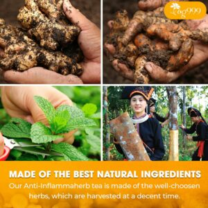 TOG999 Anti-Inflammaheb Loose Leaf Tea 100% Natural Blend of Ginger 6oz 100 cups