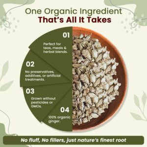 Organic Way Ginger Root Cut & Sifted Zingiber officinale Herbal Tea 100% Raw from India 1LB -16OZ