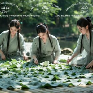 ORIENTAL XINYANG Winter Melon & Lotus Leaf Detox Tea for Weight Loss Natural Herbal Slimming Tea Caffeine Free 30 Tea Bags