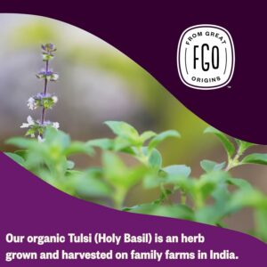 FGO Organic Tulsi Holy Basil Tea 100 Count Eco-Conscious Herbal Tea Bags Caffeine Free Pack of 1