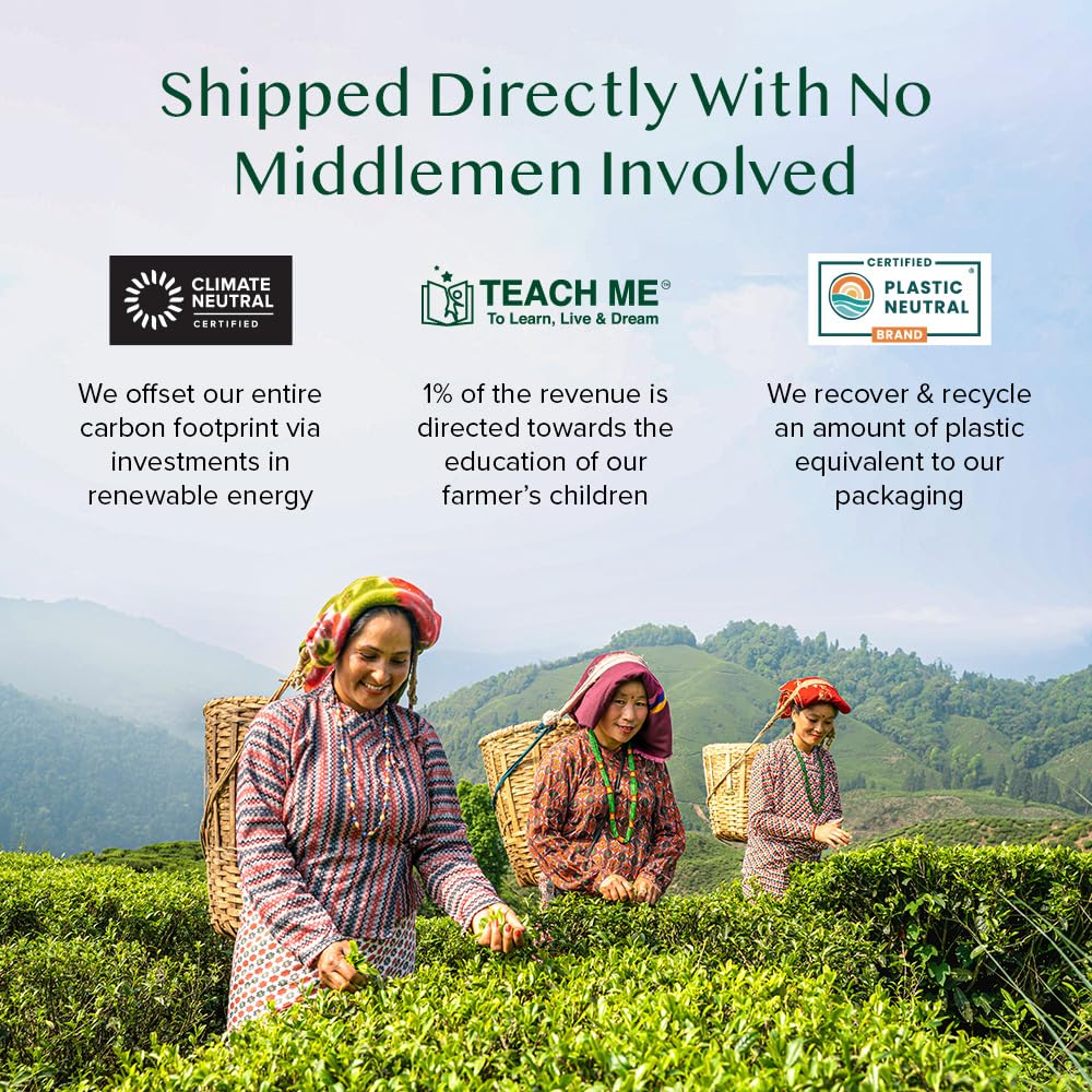 VAHDAM Organic Himalayan Green Tea Resealable & Plant Based Pyramid Tea Bags 100 Teabags