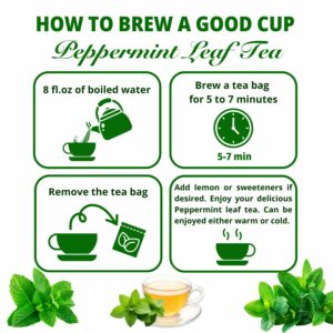 VIDA FARM 125 Peppermint Tea Bags 100% Natural Peppermint Herbal Tea Bags No Caffeine