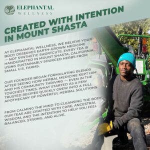 Elephantal Wellness Premium Detox Herbal Tea Daily Liver Kidney Blood & Digestive Support with Turmeric Caffeine Free Loose Leaf Blend 4oz 40 Servings