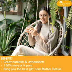 TOG999 Anti-Inflammaheb Loose Leaf Tea 100% Natural Blend of Ginger 6oz 100 cups