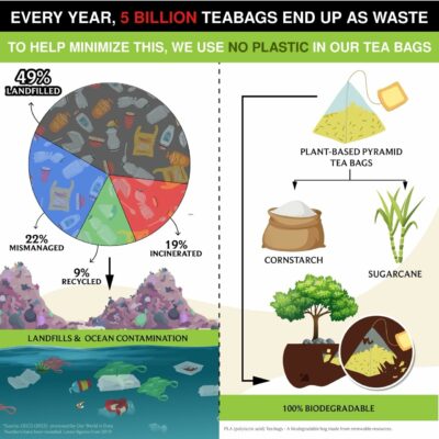 BREWIX Tulsi Holy Basil Tea Bags 25 Pyramid Bags Tulsi Leaves Caffeine Free