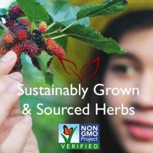 Bravo Tea Hair Regrowth Herbal Tea Caffeine Free 20 Tea Bags