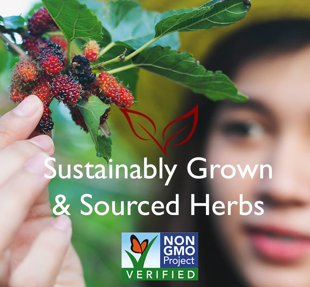 Bravo Tea Hair Regrowth Herbal Tea Caffeine Free 20 Tea Bags