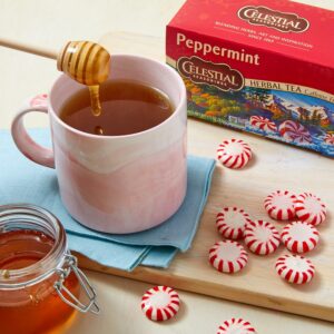 Celestial Seasonings Tea Peppermint 20 ct