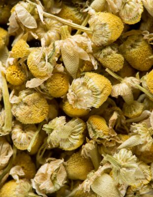 Dammann Freres Sachets Chamomile Tea Bags Premium Gourmet French Herbal Tea 20 Count Single Pack