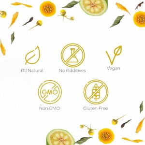 Dr. Zisman ZT Slimming Detox Tea Garcinia Dreams Night Blend Weight Loss Tea 28 Tea Bags