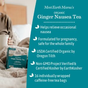 Earth Mama Organic Ginger Nausea™ Tea Nausea + Morning Sickness 16 Teabags Pack of 1
