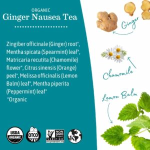 Earth Mama Organic Ginger Nausea™ Tea Nausea + Morning Sickness 16 Teabags Pack of 1