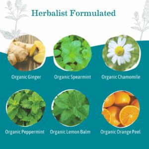 Earth Mama Organic Ginger Nausea™ Tea Nausea + Morning Sickness 16 Teabags Pack of 1