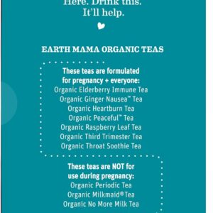 Earth Mama Organic Ginger Nausea™ Tea Nausea + Morning Sickness 16 Teabags Pack of 1