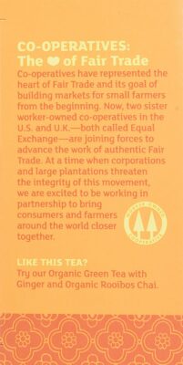 Equal Exchange Organic Caffeine Free Ginger Tea 20 Teabags
