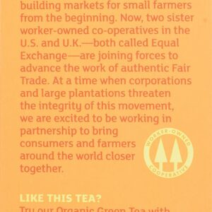 Equal Exchange Organic Caffeine Free Ginger Tea 20 Teabags