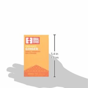 Equal Exchange Organic Caffeine Free Ginger Tea 20 Teabags