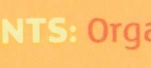 Equal Exchange Organic Caffeine Free Ginger Tea 20 Teabags