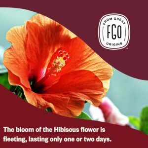 FGO Organic Hibiscus Tea 100 Count Caffeine Free Pack of 1