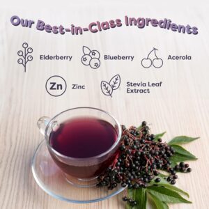 FlavCity Elderberry Immunity Tea Powder Sugar Free 30 Servings