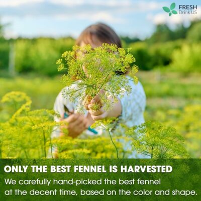 FreshDrinkUS Premium 75 Fennel Seed Tea Bags 100% Natural & Pure No Sugar No Caffeine