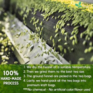 FreshDrinkUS Premium 75 Fennel Seed Tea Bags 100% Natural & Pure No Sugar No Caffeine