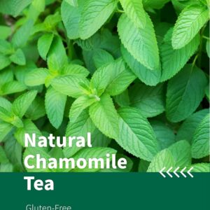 HYNTMYT Peppermint Tea Bags Natural Peppermint Leaves Caffeine Free 100 Count