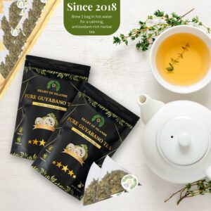 Heart of Islands KOSHER & HALAL Certified Soursop Tea Bags Caffeine Free 15 Count Pack of 1