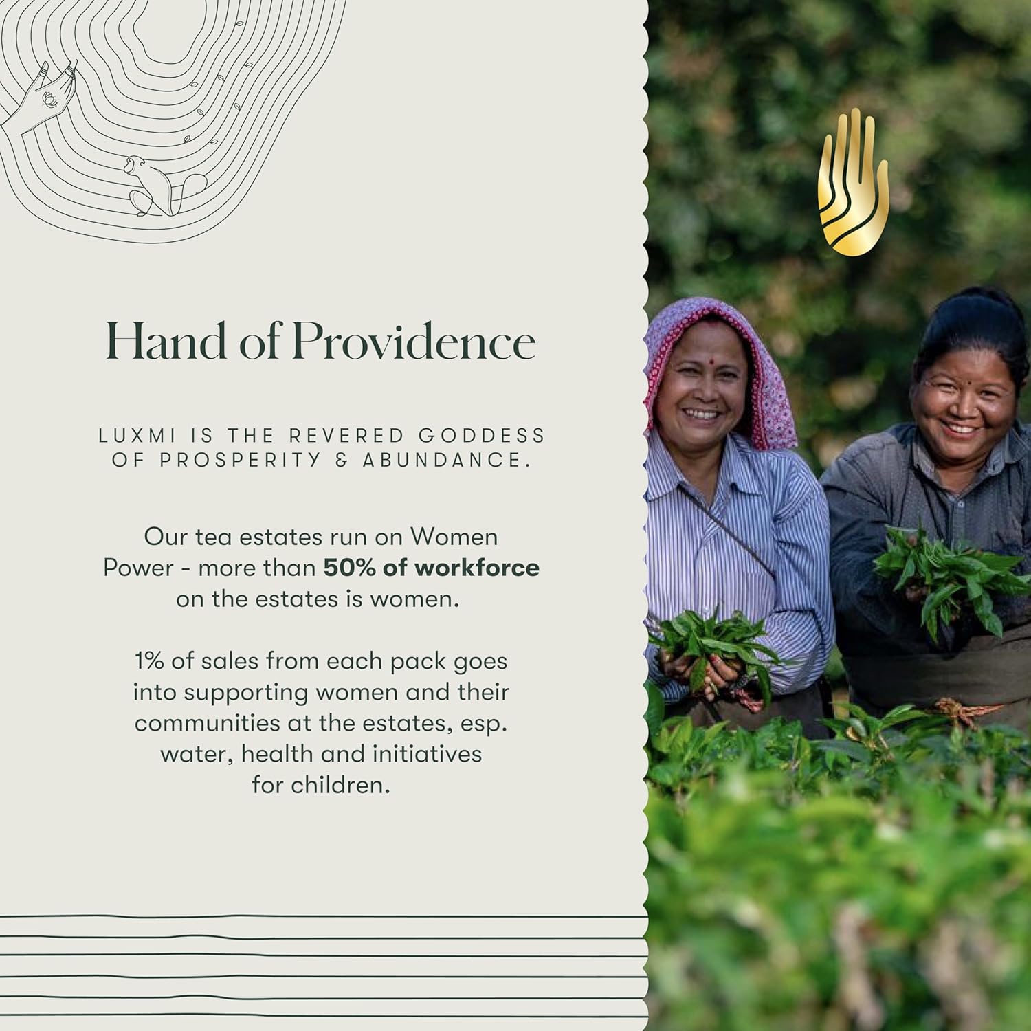 Luxmi Estates Valerian Dream Caffeine Free Tea For Sleep, Relaxing, Calming, and Stress Relief 50 Tea Bags