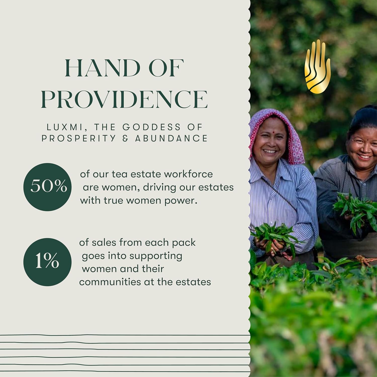 Luxmi Estates Valerian Dream Caffeine Free Tea For Sleep, Relaxing, Calming, and Stress Relief 50 Tea Bags