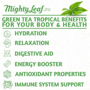 Mighty Leaf Green Tea Tropical 100 Count Foil Wrapped Tea Pouches