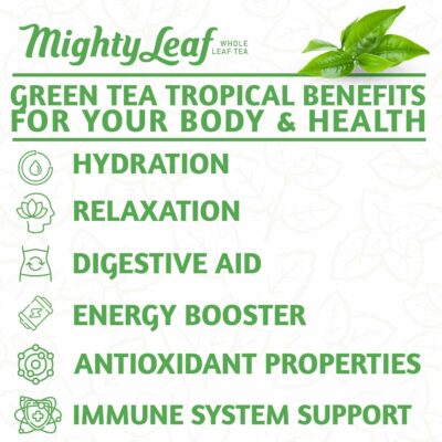 Mighty Leaf Green Tea Tropical 100 Count Foil Wrapped Tea Pouches