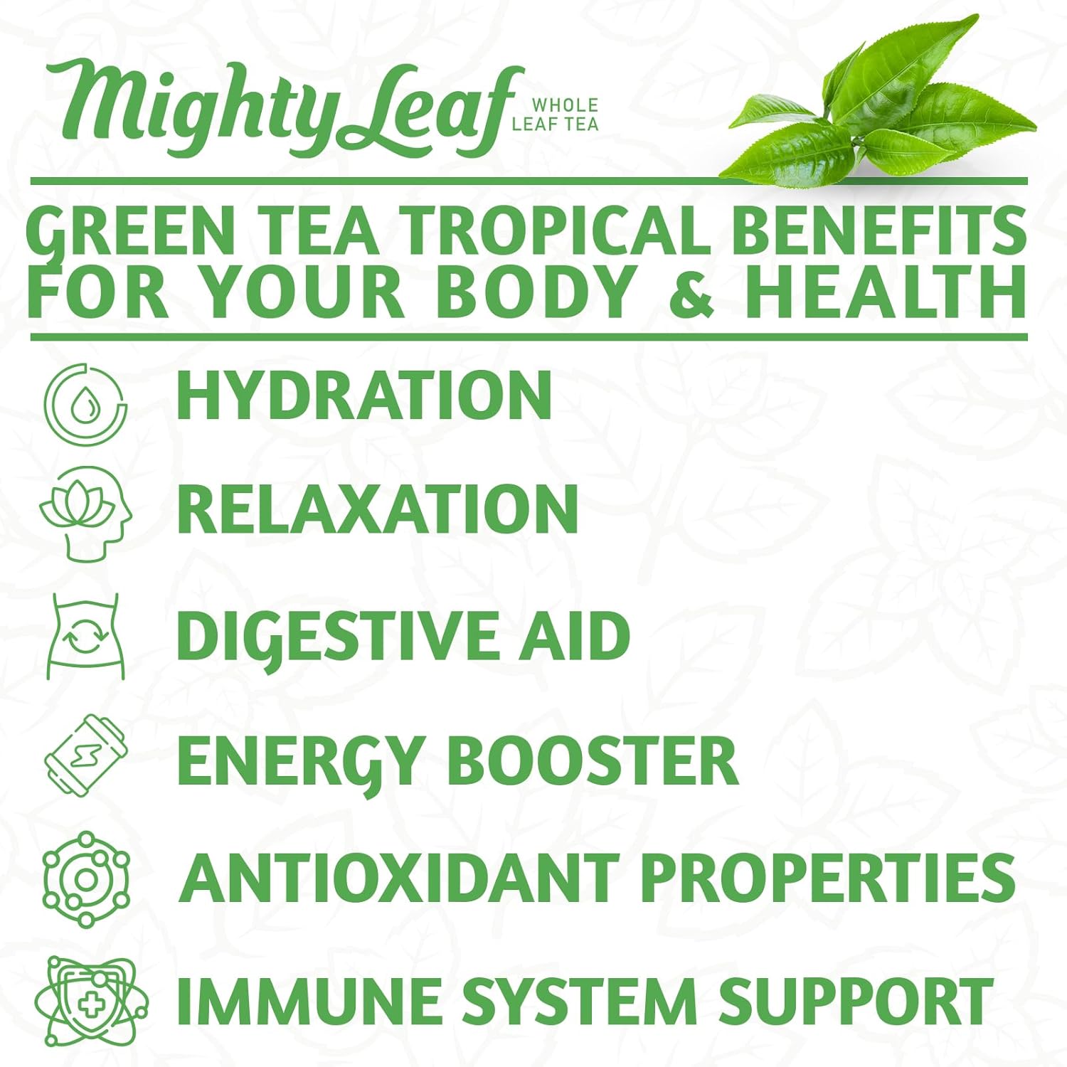 Mighty Leaf Green Tea Tropical 100 Count Foil Wrapped Tea Pouches