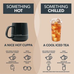 Nutra Tea Ginger & Ginseng Tea 20 Tea Bags Herbal Tea